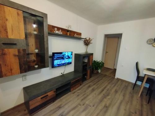 ein Wohnzimmer mit einem Flachbild-TV an der Wand in der Unterkunft Apartment Ela, Kostrena Rijeka in Kostrena