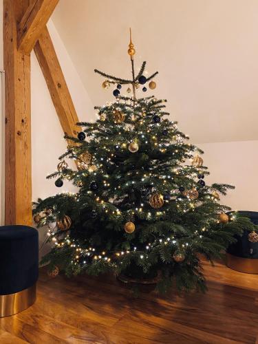 a christmas tree sitting on the floor in a room at ALTE SCHULE WITTENBERG, 3 Ferienwohnungen für bis zu 12 Personen, an der Elbe, mit Garten in Lutherstadt Wittenberg