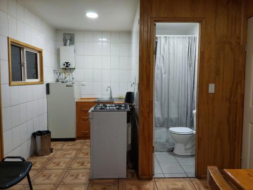 małą kuchnię ze zlewem i toaletą w obiekcie Cabañas Nelly w mieście Frutillar
