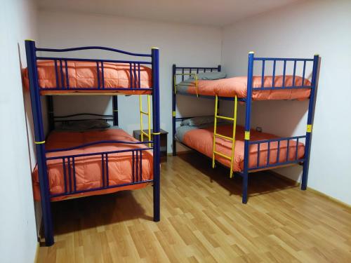 zwei Etagenbetten in einem Zimmer mit Holzboden in der Unterkunft Cabañas Nelly in Frutillar
