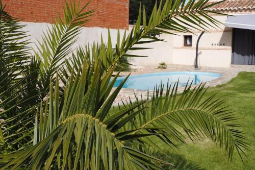 una palmera junto a una piscina en Villa Mandrés. Casa con jardín y piscina. Proximo a Puy Du Fou., en Totanés