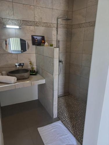 La salle de bains est pourvue d'un lavabo et d'une douche. dans l'établissement CALME ET SERENITE A LA RIVIERE, à Saint-Louis
