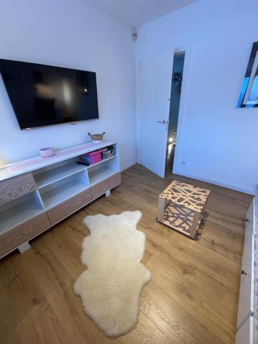 Televízia a/alebo spoločenská miestnosť v ubytovaní Apartament Poleczka Zakopane Kościelisko