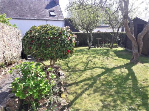 a yard with a bush of flowers and a house at Pont L'Abbé, maison avec jardin pour 4 in Pont-lʼAbbé