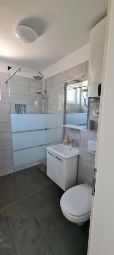 La salle de bains est pourvue de toilettes, d'un lavabo et d'une douche. dans l'établissement House Vallis Aurea, à Povile