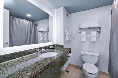 een badkamer met een wastafel, een toilet en een spiegel bij Mulberry Vicksburg in Vicksburg