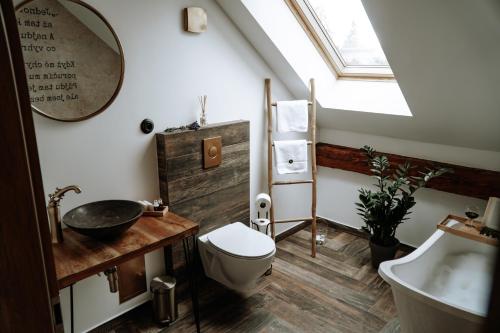 a bathroom with a toilet and a sink and a mirror at Apartments of Hana Hegerová in Hurbanovo