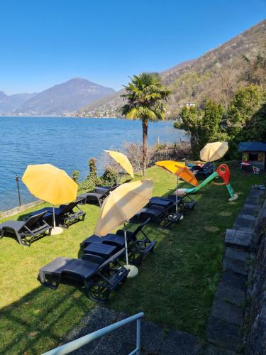eine Gruppe von Stühlen und Sonnenschirmen auf dem Gras in der Nähe des Wassers in der Unterkunft Zappa Lake Lodge in Brusino Arsizio