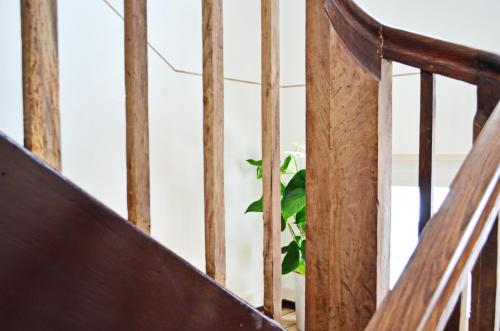 a wooden staircase with a green plant in the background at Hotel "Cafe Verkehrt" - Wellcome Motorbiker, Berufsleute und Reisende im Schwarzwald in Oberhof