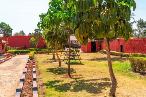 a row of trees in front of a red building at RUN'IX ATHLETIC CENTER in Iten