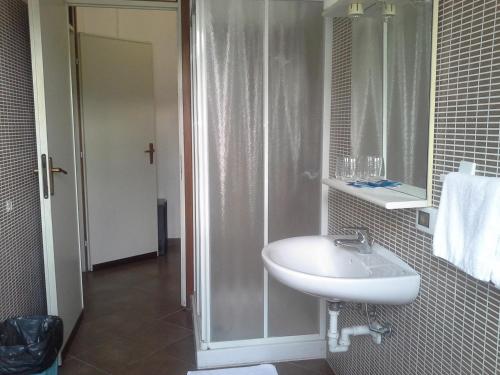 uma casa de banho com um lavatório e um chuveiro em Hotel Ticino Ristorante Chierico em Carbonara al Ticino