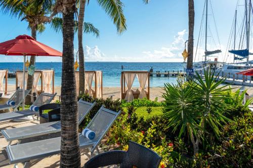 坎昆的住宿－Cancun Bay All Inclusive Hotel，海滩上,有椅子和棕榈树,还有大海