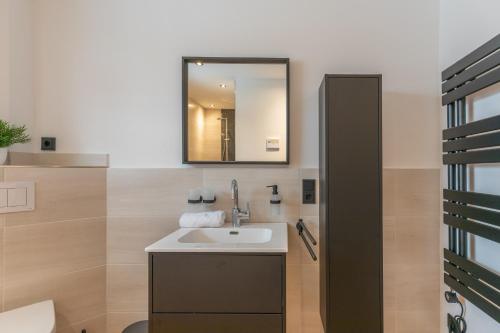 a bathroom with a sink and a mirror at Hooge in Hattstedt