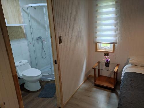 La petite salle de bains est pourvue d'une douche et de toilettes. dans l'établissement Cabañas Koyam, à Melipeuco