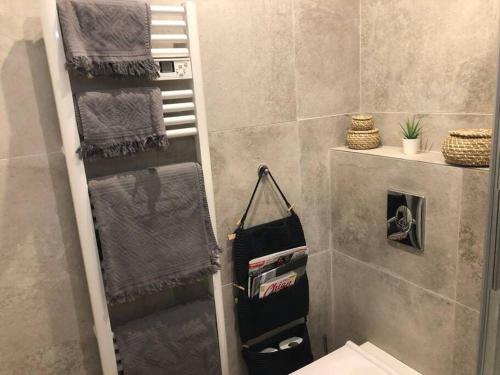 La salle de bains est pourvue d'un sèche-serviettes et d'une douche. dans l'établissement Homelivia, Votre Appartement ideal pour découvrir Nice, à Nice