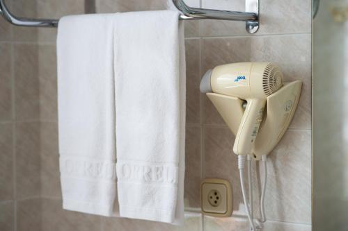 Koupelna v ubytování Hotel Borrell