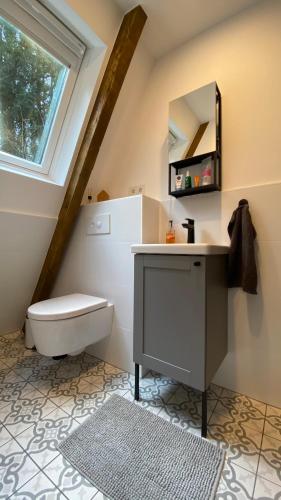 a bathroom with a sink and a toilet and a mirror at Wald-Chalet Vulkaneifel in Kerschenbach