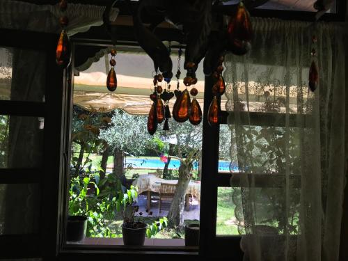 Κήπος έξω από το Finca Vergel