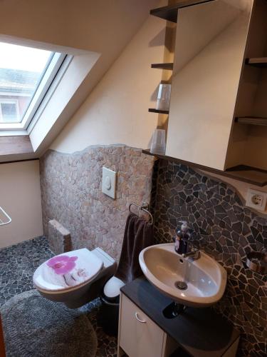 a bathroom with a sink and a toilet in it at Waldquelle Plauen in Plauen