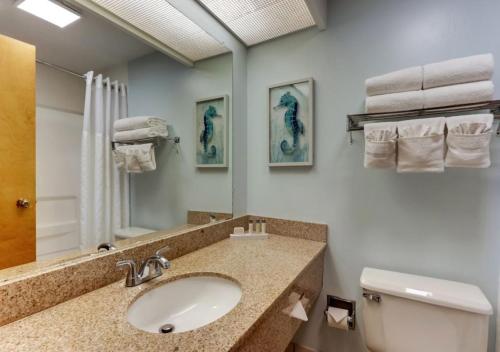 W łazience znajduje się umywalka, toaleta i lustro. w obiekcie Palm Suites w mieście Atlantic Beach