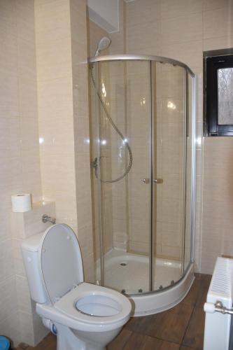 a bathroom with a shower and a toilet at Pensiunea Sasha in Bîrnova