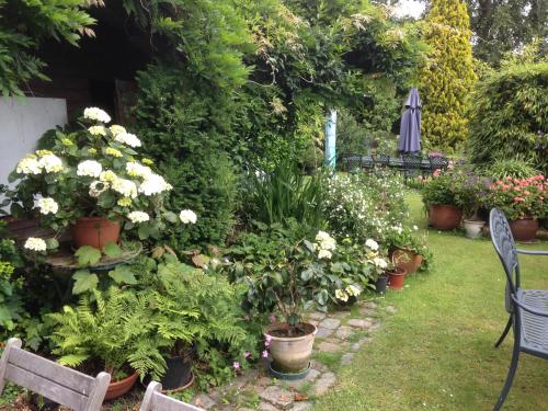 a garden with a bunch of plants and flowers at B&B Carisma in Lochristi