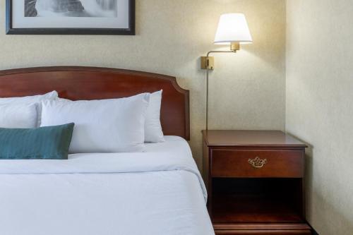 a bed in a hotel room with a lamp on a table at Ramada by Wyndham Reno Hotel & Casino in Reno