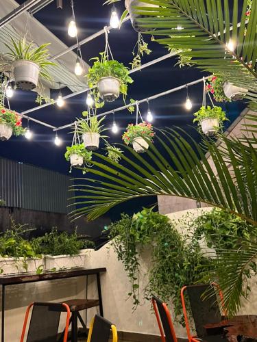 Imagen de la galería de Amango Home, en Ho Chi Minh
