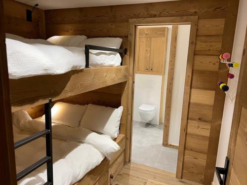 Cette chambre comprend 2 lits superposés et des toilettes. dans l'établissement Appartement avec terrasse pour 6 personnes proche pistes à La Clusaz - FR-1-459-199, à La Clusaz