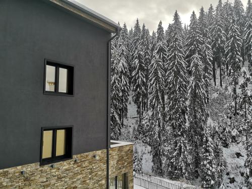 GORA - Вила Villa for 22 Guests, Пампорово, Rhodope Mountains v zimě