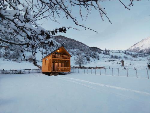 wood house žiemą