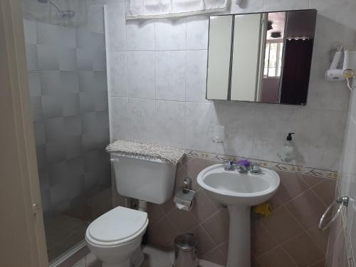 bagno con servizi igienici, lavandino e specchio di M & Mendoza a Mendoza