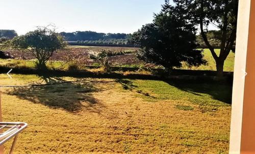 a view from a window of a field with a tree at Can Pep Yern 3 in Playa Migjorn