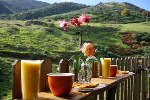 drewniany stół z wazonem kwiatów i napojów w obiekcie La Casita w mieście Vega de San Mateo