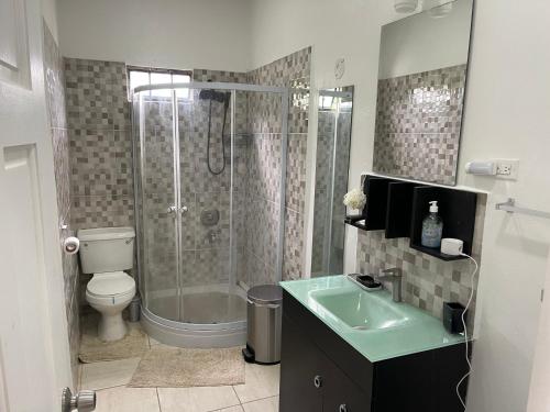 een badkamer met een douche, een toilet en een wastafel bij Beverley Manor DIAMOND VALE' 2 Bedroom 1 Bath Apartment in Diego Martin