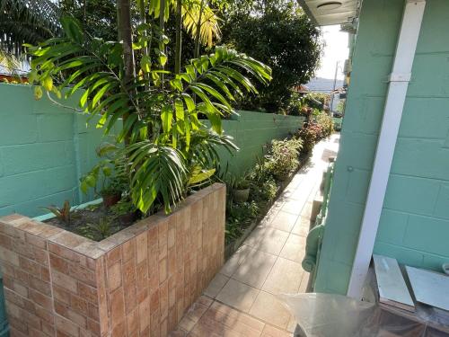 a garden with plants in a brick wall at Beverley Manor DIAMOND VALE' 2 Bedroom 1 Bath Apartment in Diego Martin