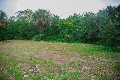 a large grass field with trees in the background at Patio I Firepit I 65 TV w/ Netflix I 472mbps I WD in Vero Beach