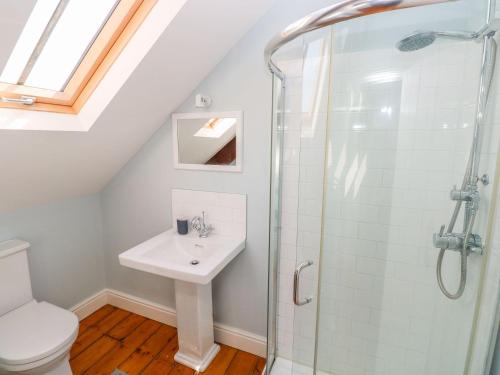 a bathroom with a shower and a toilet and a sink at 1 Bank Terrace in Newport