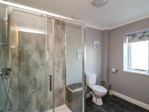 uma casa de banho com um chuveiro e um WC. em Pen Y Banc em Builth Wells
