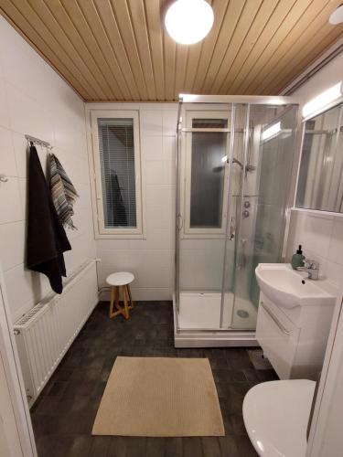 een badkamer met een douche, een toilet en een wastafel bij Kotirinne 135 - järven rannalla in Jyväskylä