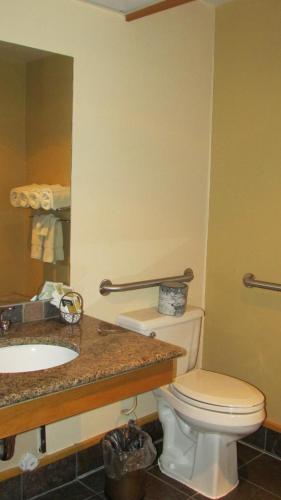 a bathroom with a toilet and a sink and a mirror at Spearfish Canyon Lodge in Spearfish