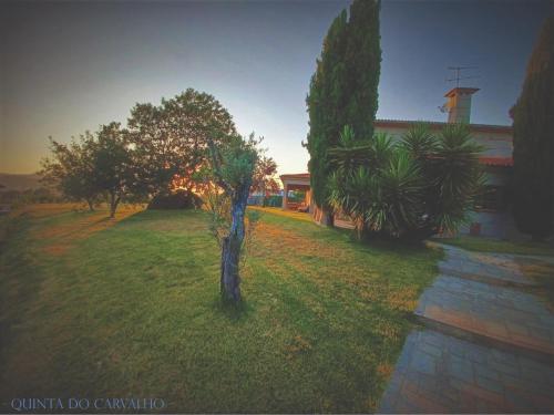a tree in a field next to a house at Quinta do Carvalho - Nature Guest Houses in Guimarães