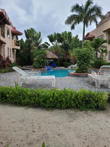 a resort pool with white chairs and palm trees at Placencia Pointe Townhomes #8 in Placencia Village