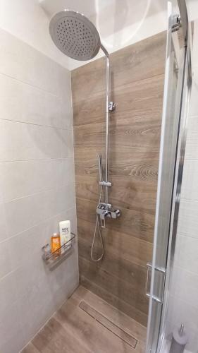 a shower with a shower head in a bathroom at King AGIS 2 in Sparta