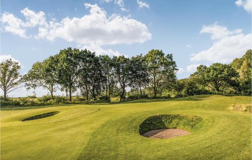 a green golf course with a hole in the grass at Fewo Schloss Spyker in Kaschow