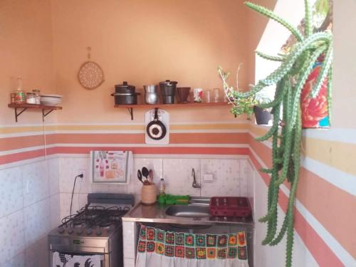 una cocina en miniatura con fogones y cactus en Casa Relva Suítes, en Lençóis