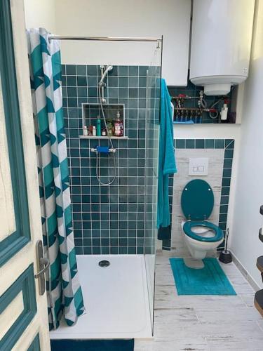 La salle de bains est pourvue d'une douche et de toilettes vertes. dans l'établissement Les Terrasses d'Alain F2 CV parking vélo, à Sète