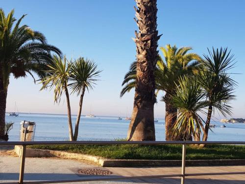 uma vista para uma praia com palmeiras e para o oceano em Studio +parking Bandol 3min à pied plage du vallat em Bandol