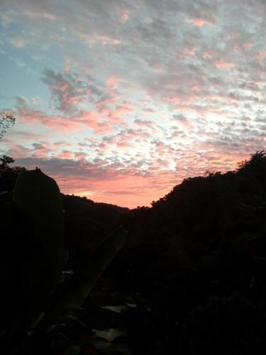 a sunset in the sky with trees in the background at Berkey's Jungle Paradise in Roseau