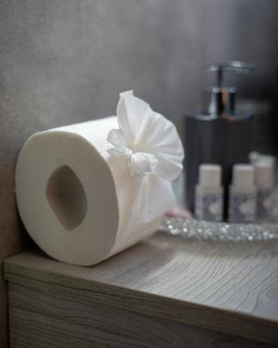 a roll of toilet paper sitting on top of a shelf at Alloggio nuovissimo al centro e rilassante in Ischia